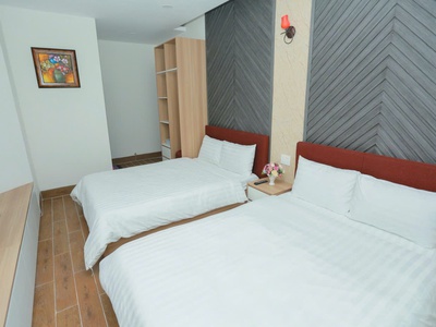 Cho thuê nhà đường đường trạng trình phường 9 đà lạt giá 45 triệu 3