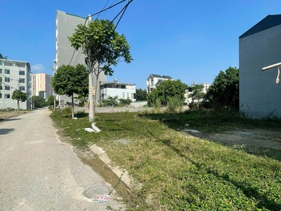 80m full thổ cư xã xuân mai, chương mỹ 1,5tỷ 1