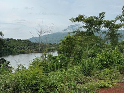 Cần bán đất view hồ   view núi - view săn mây siêu đẹp tại phước bình   đồng nai 2