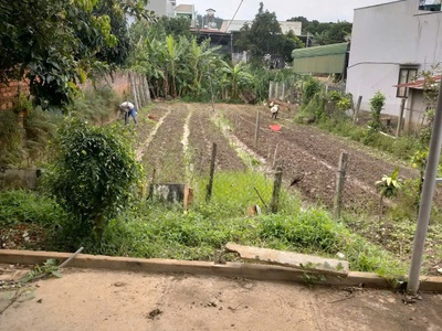 Bán nhà vườn 457m2 phi nôm - hiệp thạnh - đức trọng - lâm đồng 2,6 tỷ 3