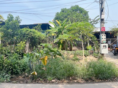 Chính chủ bán gấp đất giá tốt tại Chánh Phú Hoà, Bến Cát. 4