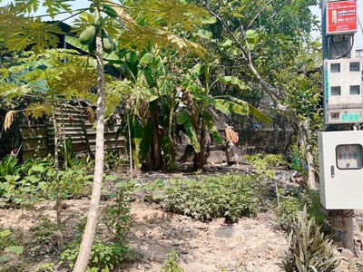 Chính chủ bán gấp đất giá tốt tại Chánh Phú Hoà, Bến Cát. 7