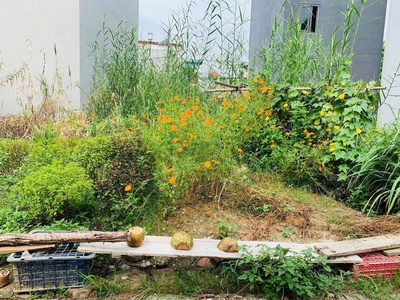 Bán đất tuyến 1 Đống Hương, Quán Toan, Hồng Bàng, Hải Phòng. 1,93 tỷ 1