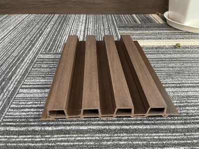 Ốp tường trần với gỗ nhựa ngoài trời 2