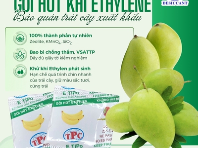 Gói hút khí Ethylene giúp bảo quản xoài lâu chín khi xuất khẩu 0