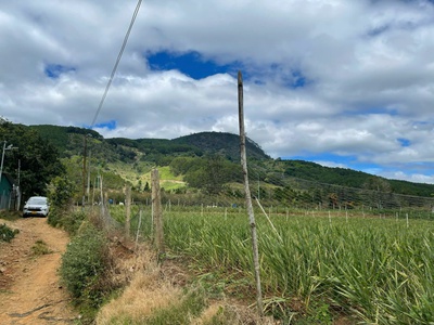 Bán Đất Ngay Trung Tâm Thành Phố Đà Lạt 1