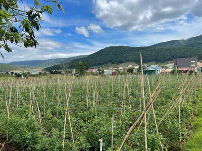 Bán Đất Ngay Trung Tâm Thành Phố Đà Lạt 2