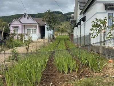 Bán Đất Ngay Trung Tâm Thành Phố Đà Lạt 0