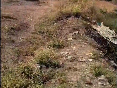 Bán đất mặt tiền 30m   tổng 6.975m    có 975m  thổ cư   ấp 2, xã tân đông, huyện thạnh hóa 2