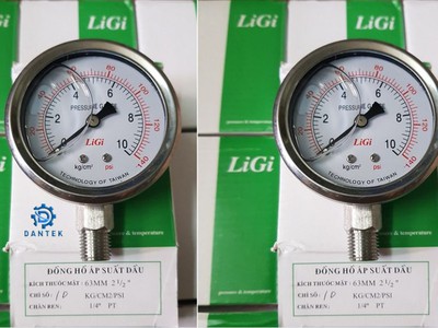 Đồng Hồ Đo Áp Suất Ligi Là Gì  Giải Pháp Đo Áp Suất Chính Xác Cho Công Nghiệp   Gia Đình Việt Dantek 0