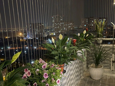 Bán căn hộ chung cư tại đường huỳnh văn nghệ, phường phúc lợi, long biên, hà nội. 4