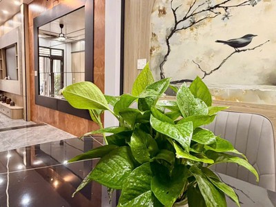 Bán căn nhà 3 tầng ngõ phố Đức Minh, ph Thanh Bình, TP HD, 50m2, 3 ngủ, 3 vs, ngõ oto nhỏ 4