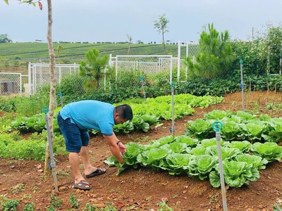  ĐẤT nghỉ dưỡng VIEW HỒ   LÀNG OMM BẢO LỘC 1