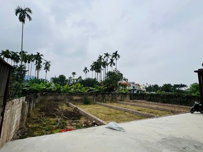 Bán đất thiên hương   thủy nguyên   diện tích 50m    giá 1,28 tỷ 2