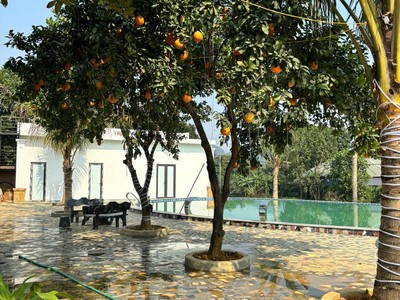  Đất sổ đỏ giá chỉ 5 triệu/m    cơ hội hiếm tại lạc thủy 4