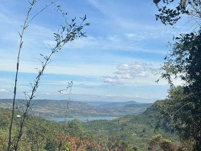 Bán lô đất tại xã tân thượng, huyện di linh, tỉnh lâm đồng 3