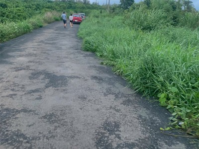 Bán lô đất tại xã tân thượng, huyện di linh, tỉnh lâm đồng 4