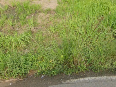 Bán 16m mặt tiền đt 712 -  tân thành - hàm thuận nam giảm 50 90tr/m ngang 3