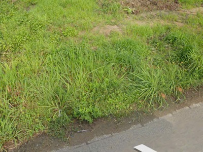 Bán 16m mặt tiền đt 712 -  tân thành - hàm thuận nam giảm 50 90tr/m ngang 4