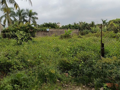 Cho thuê đất diện tích lớn   Phù hợp làm kho bãi, sân thể thao hoặc cà phê sân vườn 1