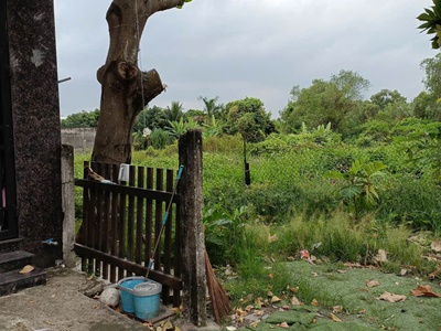 Cho thuê đất diện tích lớn   Phù hợp làm kho bãi, sân thể thao hoặc cà phê sân vườn 2