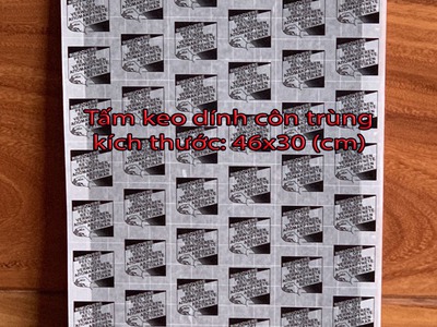 Miếng keo dính côn trùng dùng cho đèn diệt côn trùng 0