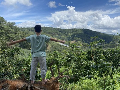 Cho thuê đất ở Đà Lạt Xuân Trường, miễn phí 1PN giá 2tr/lô/ sổ riêng 9