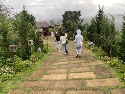 Cho thuê đất ở Đà Lạt Xuân Trường, miễn phí 1PN giá 2tr/lô/ sổ riêng 5