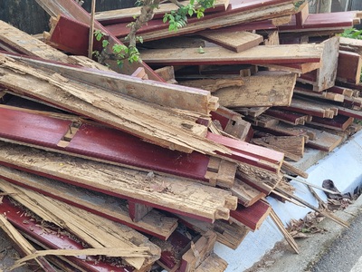 Diệt mối tận gốc tại Thái Bình   xử lý tổ mối triệt để 0