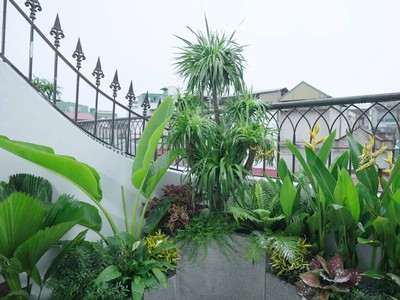 Nhà lô góc   ngõ ô tô tải   cách phố hoàng hoa thám hơn 20m căn nhà hiếm trong khu ba đình, vị trí 0