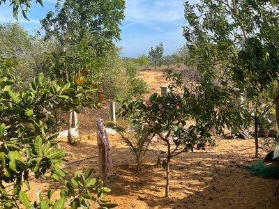 Hàng hiếm  cần bán gấp 510m2 đất kề võ nguyên giáp, mũi né - chỉ 2triệu/m2 1