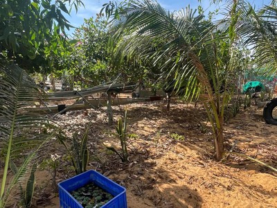 Hàng hiếm  cần bán gấp 510m2 đất kề võ nguyên giáp, mũi né - chỉ 2triệu/m2 2