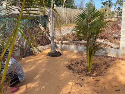 Hàng hiếm  cần bán gấp 510m2 đất kề võ nguyên giáp, mũi né - chỉ 2triệu/m2 3