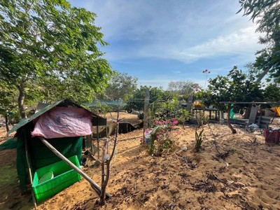 Hàng hiếm  cần bán gấp 510m2 đất kề võ nguyên giáp, mũi né - chỉ 2triệu/m2 4