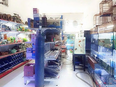 Mặt tiền kinh doanh nhộn nhịp phước long b q9-100m2-chỉ 11,8 tỷ 1