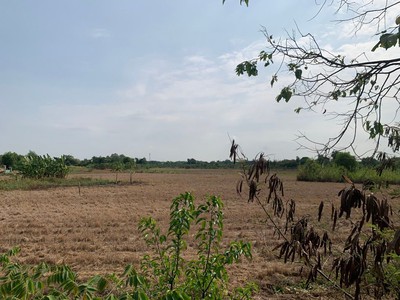 Đất mặt tiền - hưng long, đa phước, bình chánh 15000m  chỉ  70 tỷ, 0