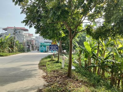 Bán gấp giá rẻ đất phân lô mặt biển quất lâm 78m, mặt tiền 4.5m, 1.5 tỷ ninh bình. 2