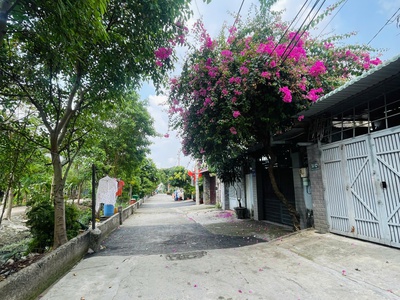 Gà đẻ trứng vàng - 14 chdv full-dòng tiền 45tr/th - hơn 5 lãi xuất nh 1