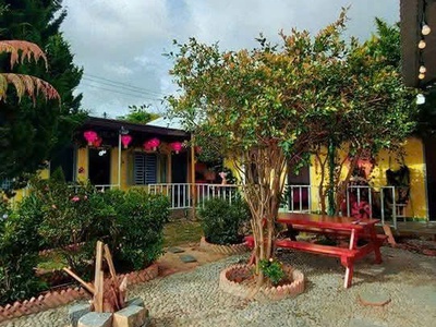 Cho thuê homestay sân vườn   p.8 đà lạt   cách hồ 100m 0