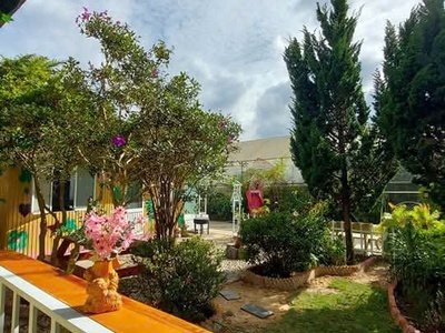 Cho thuê homestay sân vườn   p.8 đà lạt   cách hồ 100m 2