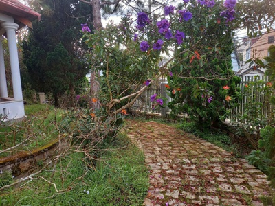 Cho thuê sân vườn mở quán kinh doanh nguyễn an ninh, phường 6, đà lạt, tỉnh lâm đồng 3