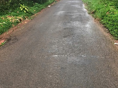 Chính chủ bán đất có nhà   đất full cà phê đang thu hoạch   lộc đức - bảo lâm 4