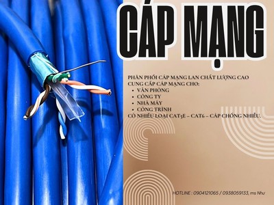 Cáp mạng LAN Cat6 chất lượng cao cho hệ thống camera 2