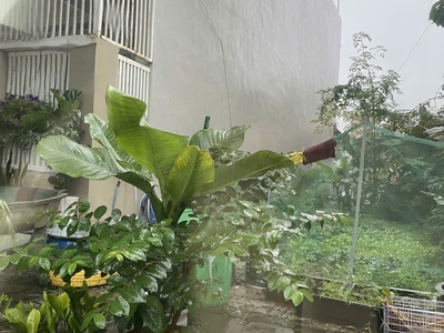 Bán đất đường Phước Trường 4 - Gần biển Mỹ Khê, Gần công viên Biển Đông, Sơn Trà, Đà Nẵng. 0