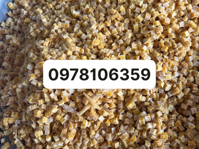 Máy thái trái cây sấy dẻo hạt lựu, máy thái cơm dừa hạt lựu, máy thái cùi bưởi hạt lựu 3