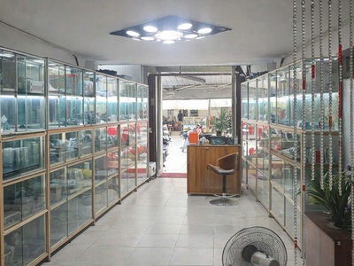 Bán nhà mặt tiền đường An Bình P6 Q5 vị trí siêu đẹp tiện kinh doanh 1