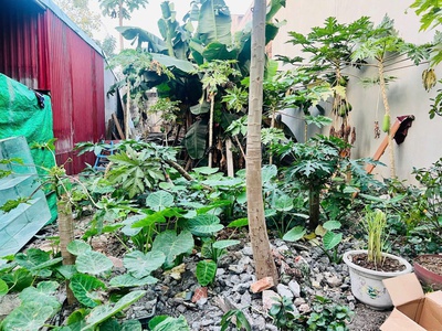 Bán đất tuyến 2 Nguyễn Trung Thành, Hùng Vương, Hồng Bàng,Hải Phòng. ô tô vào chỉ 2,5 tỷ 1