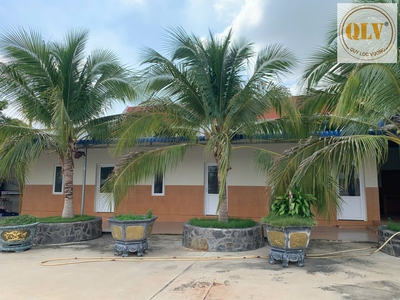 Bán nhà xưởng sản xuất Hàm Tân, Bình Thuận 11.879m 1