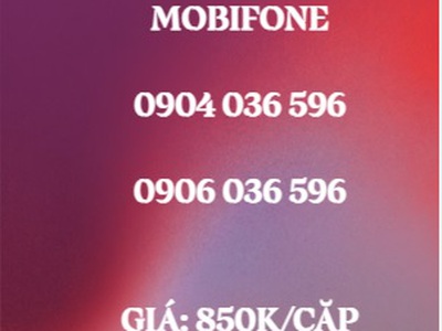 Cặp đôi trả trước mobifone - giá siêu rẻ 11