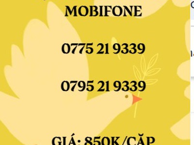 Cặp đôi trả trước mobifone - giá siêu rẻ 13